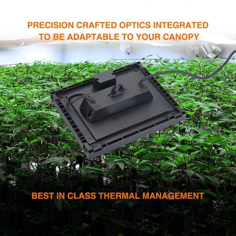 Indoor Quantum Horticulture Lamp Growing Plant Lighting Board Power Used High Quality Full Spectrum PAR Shenzhen Large Wholesale Panel LED Grow Light