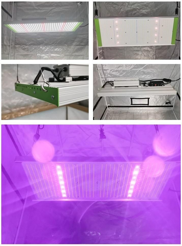 Wholesale Price Full Spectrum SMD LED Grow Panel Light (320W/480W/640W/800W)