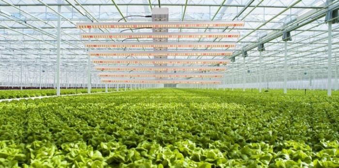 600W 8 Bar Smart Hydroponics LED Plant Cultivation Grow Light 660nm+Full Spectrum