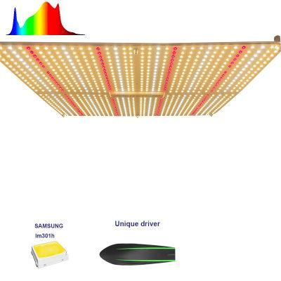 Samsung Strip Indoor Quantum High Power Horticulture Board Lamp Full Spectrum Growing Plant Wholesale LED Grow Light Pvisung LED Lighting