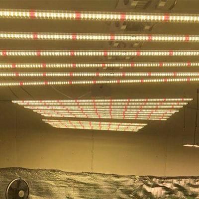 China 1000W cUL Greenhouse LED Grow Light