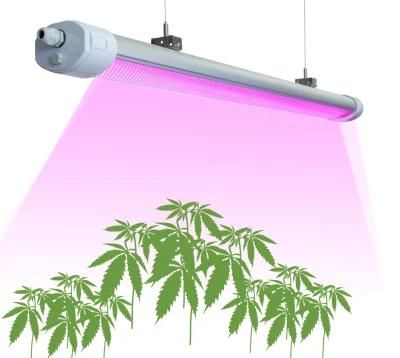 China Distributor Competitive Pink Spectrum 200W Best LED Grow Light High Efficacy Grow Lights LED Grow Lights for Growing