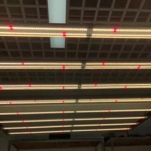 LED Grow Light 660W Fluence Spydr 2p Gavita Replacing with Samsung Chip Chinese Factory Direct
