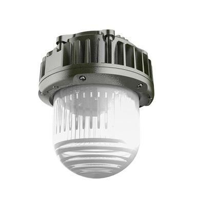 Atex Explosion Proof Pendant for Hazardous Area Location Ex Area Light, 120-277V