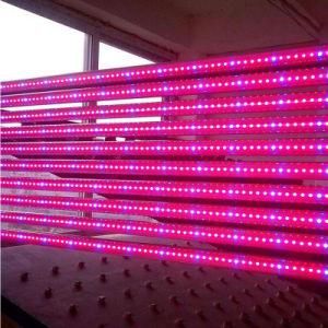 Commercial Indoor Grow Lighting High Power 720W Fanless LED Grow Light Tube
