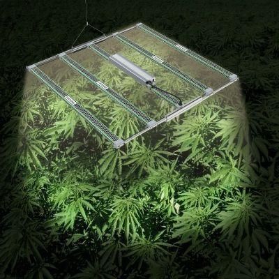 Pulling and Shrinking Top Selling Yields up to 4lbs 301h 301b 2.8 Umol/J Efficacy LED Grow Light