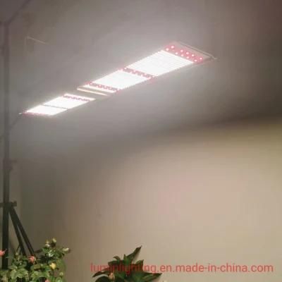 LED PAR Full Spectrum Grow Light for Greenhouse to Supplement Lighting Medical Flowers