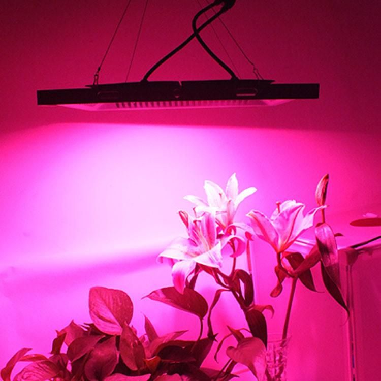 100W Full Spectrum LED Grow Light