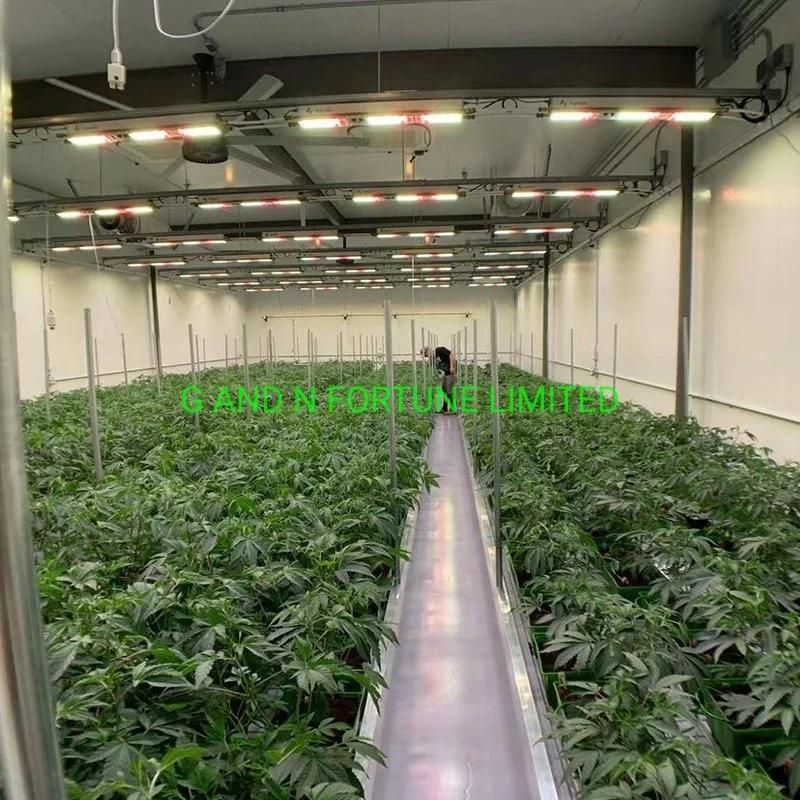 Greenhouse 600W Full Spectrum LED Grow Light for Plant