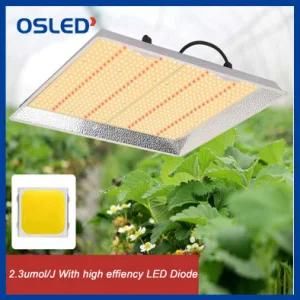 Commercial LED Horticultural Lighting, LED Grow Light Bulbs for Indoor Plants, High Power LED Growing Light Plant Grow Bulbs with Veg Bloom