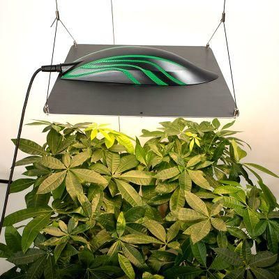 Replacing HPS ODM CE ETL RoHS Dlc High Ppfd Seeding Veg Bloom Greenhouse Light LED Grow Light