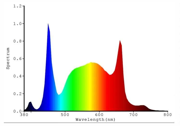 Ilummini 640W 480W DIY Private Mould Full Spectrum LED Grow Light with 730nm 395nm 660nm