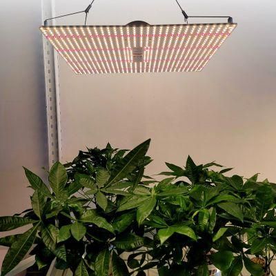 LED Grow Light 320W UV IR LED Grow Light Fluence Spydr Full Spectrum Indoor Grow Light