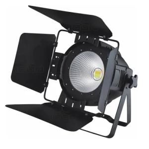 150W COB LED PAR Light with Baffle