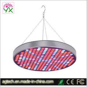 50W UFO Growing LED Light for Plant Growth