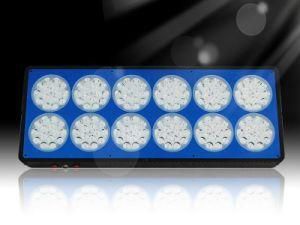 404~430W Grow Lights Grow LED Apollo LED Grow Light (Red 160PCS 660nm/630nm, Blue 20PCS 460nm, R/B=8/1)