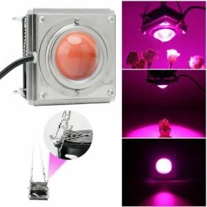 50W 110V Plant Grow Lamp Full Spectrum LED Grow Light for Indoor Indoor Flower Plant Seed Cultivation Hydroponic System