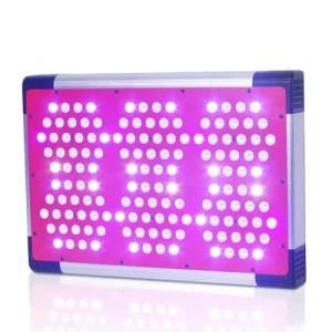 300W 3 Years Warranty LED Grow Light/Lamp