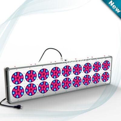 800W High Power LED Flower Plant Grow Light Factory