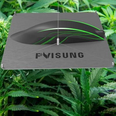 Factory Custom 3-Year Warranty Full Spectrum Sunlight Bluetooth Hydroponic Grow Light Grow Light Best LED Grow Light