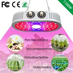 1100W Full Spectrum COB Indoor Hydroponics Plants LED Grow Lights for Indoor Green Plant Growth Bulbs Lamp