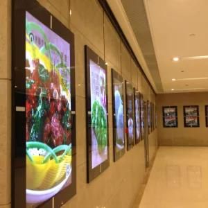 Edge-Lit Acrylic Sheet Magnetic LED Light Box for Advertising Display