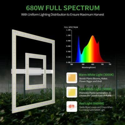 High Ppfd LED Plant Grow Light 680W Full Spectrum Hydroponic for Indoor Grow Room