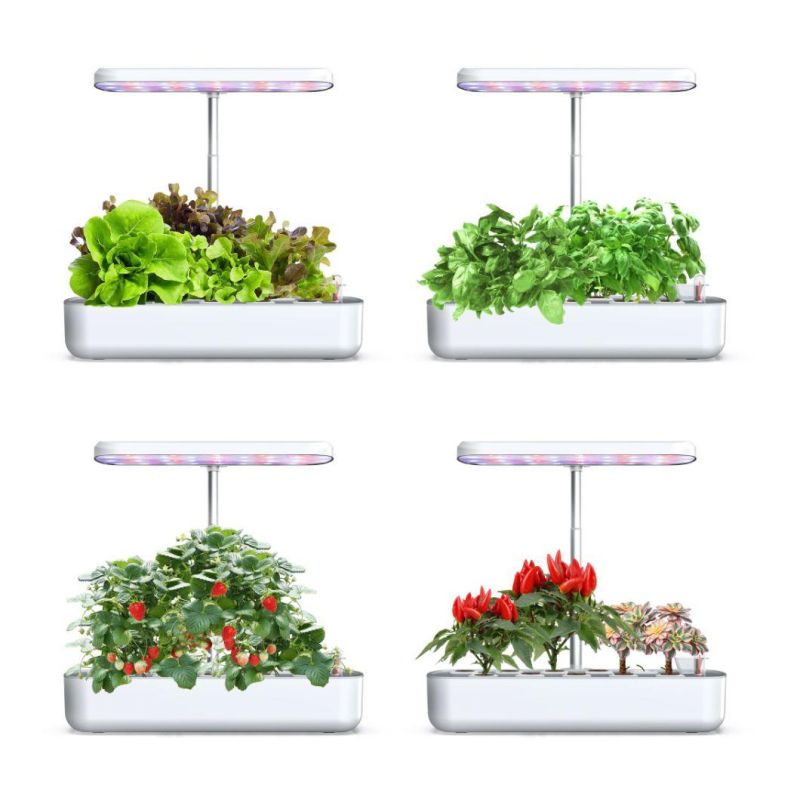 Indoor Soilless 10 Pots LED Lighting Automatic Watering Intelligence Annual Planter