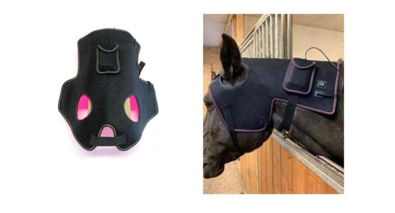 LED Red Light Therapy Equine Poll Cap Red Light Therapy