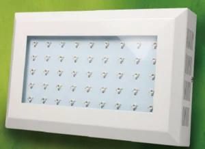 45X3w Square LED Grow Light (RY-S107)