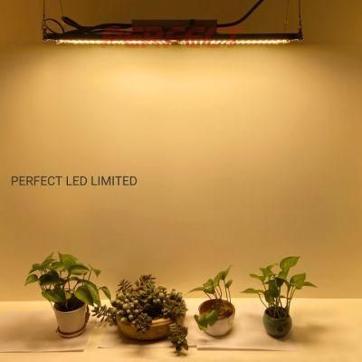 Newest Pre-Assembled 240W/ 480W Sam-Sung Lm301h 660nm UV IR Full Spectrum LED Grow Light for Indoor Plants