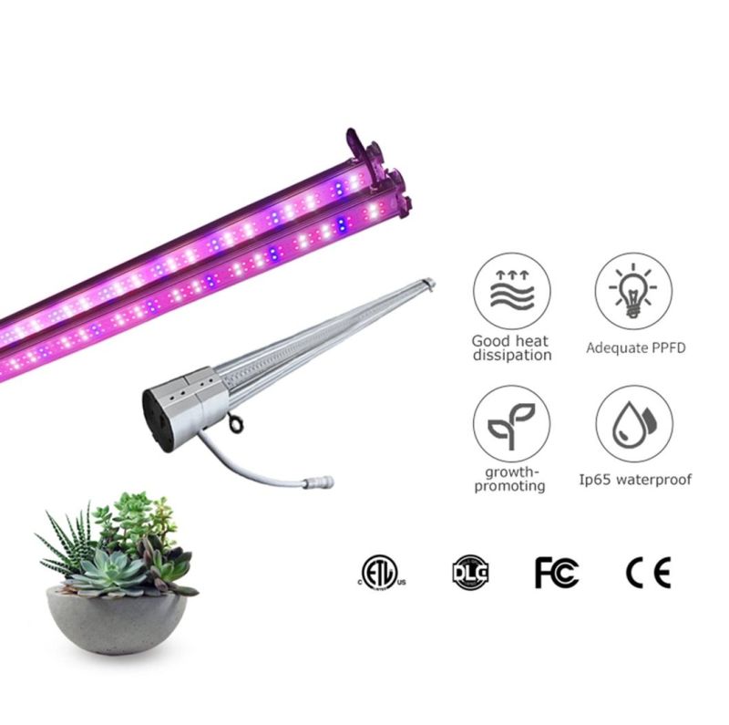 Double-Sided 20W 30W 40W 50W 60W LED Grow Light for Tomato Indoor Hydroponics Lettuce Grown