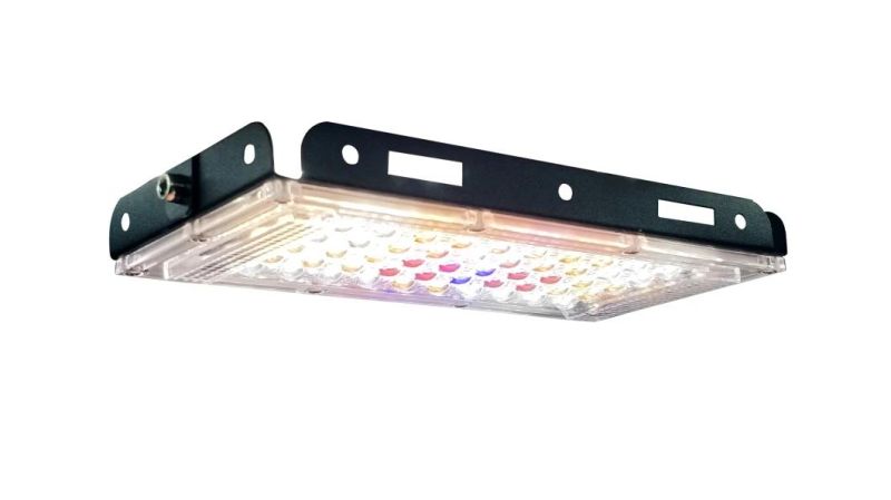 Full Spectrum LED Lighting LED Grow 150W American Standard King LED Grow Light