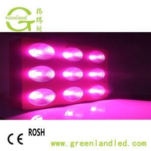 Ce RoHS High Power Full Spectrum High Power COB LED Grow Light