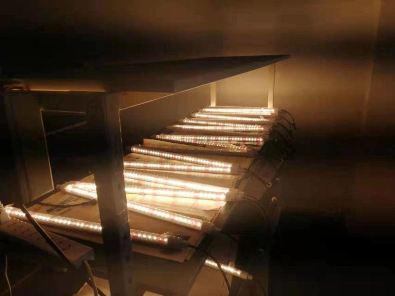 T8 Tube Full Spectrum 24W LED Grow Lights for Vertical Farming Tomatoes Vegetables