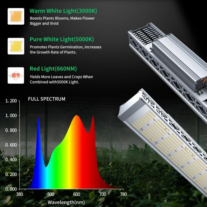Hydroponic Indoor Plants Lighting Samsung Lm301b 320W 680W LED Grow Light for Germination Veg Flowering Blooming