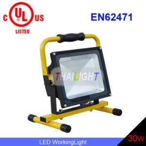 IP65 30W LED Portable Working Light