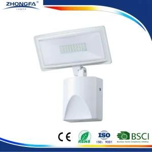 15W Ce GS LED Outdoor Work Lighting