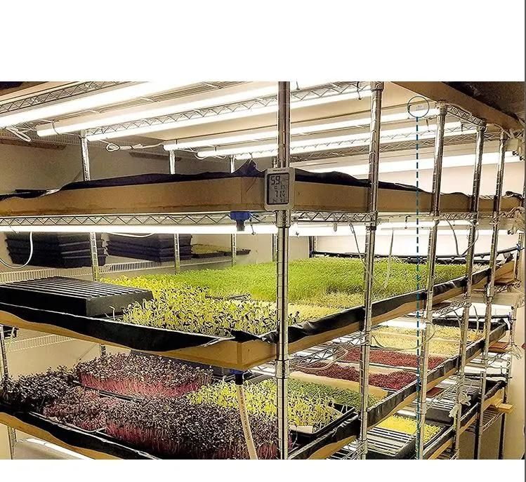 Full Spectrum Hydroponic Grow Light Bar 2FT 3FT 4FT 60cm 90cm 120cm 100-240VAC T8 T5 LED Tube Grow Light