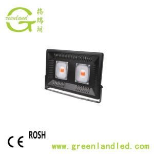 Hot Sale Waterproof IP67 Driverless 100W Plant LED Grow Light