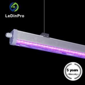 LED Grow Lighting