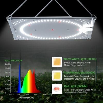LED Growing Lights Hydroponic Lighting Durable LED Plant Grow Light Full Spectrum with IR Dimmable Grow Light for Indoor Plants Growth