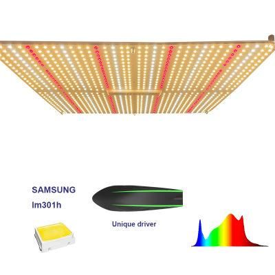 The Best New Arrival LED Grow Light 730W Best LED Grow Light Lm301b LED Grow Light