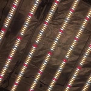 600W Dimmable Lm301h Adjustable Foldable LED Grow Light for Plants Epistar Samsung