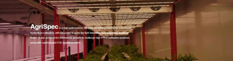 IP66 Hydropoinc Grow Light Quantum Board 1000W LED Grow Light