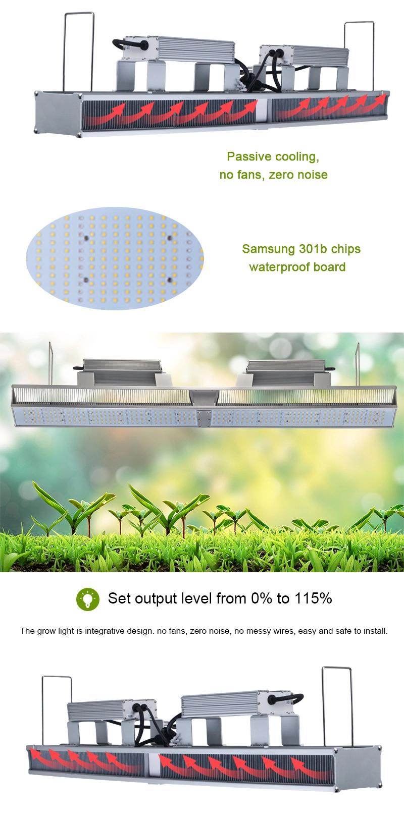 600 Watt Commercial Full Spectrum LED Grow Lights for Greenhouse Plants