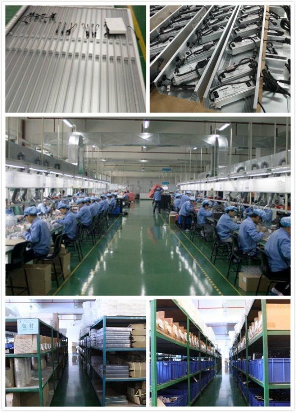 Wholesale Distributor 100W IP65 LED Grow Light, LED Tri Proof Light, LED Light Lamp, T8 LED Tube Light