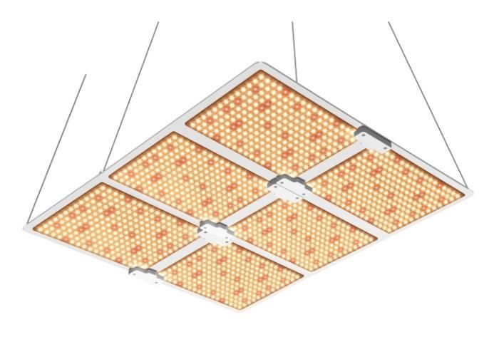 IP65 High Power Module 600W LED Grow Light for Plant