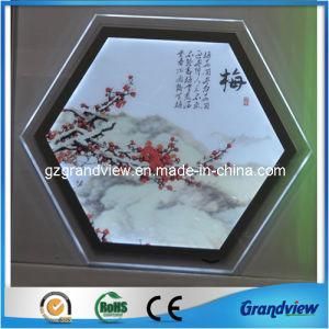 Customized Advertising LED Crystal Light Box (GV-CLB)