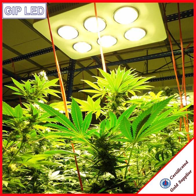 China Manufacturer 756W 800W COB LED Grow Lights for Medical Plants